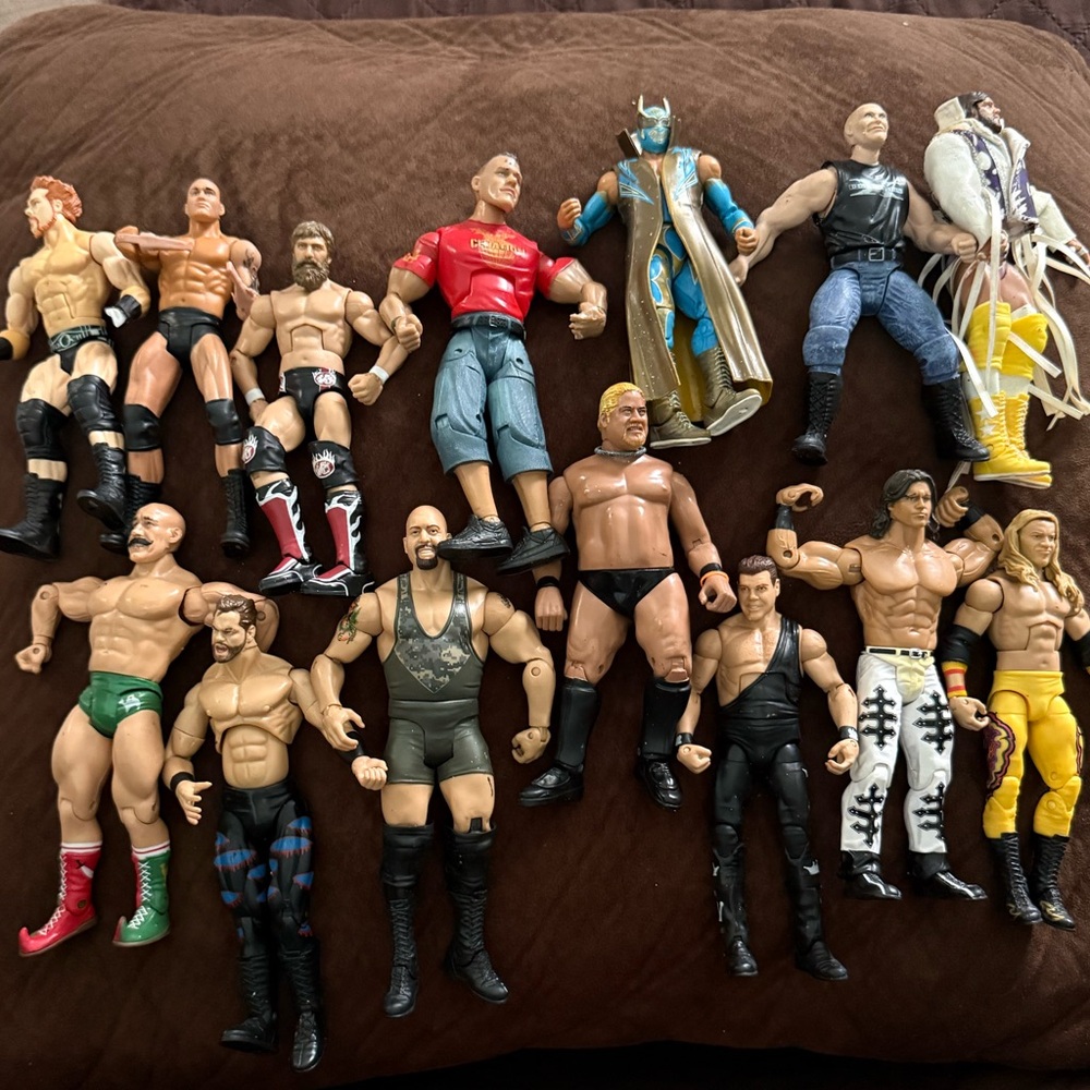 Wrestling Action Figure Collection